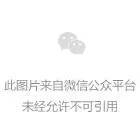 篮球封闭式训练营名字