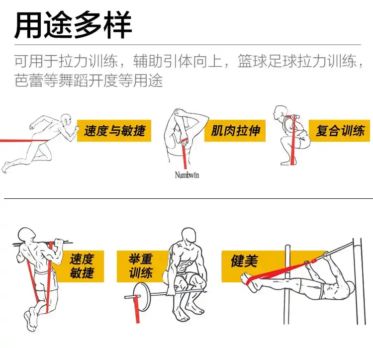 哪里有适合初学者的篮球进步课程?_1